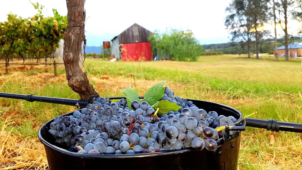 Red Door Collective - Rdc Vineyard Estate, Luxury Adult Only Stay Поколбин Экстерьер фото